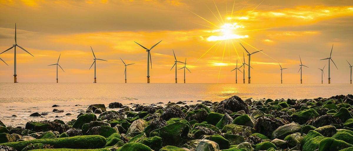 Sustainable and smart energy management solutions