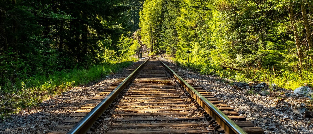 shutterstock_1127786717