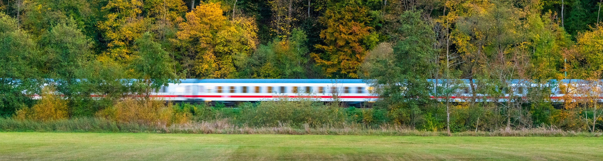 High speed intercity train traveling through autumn forest