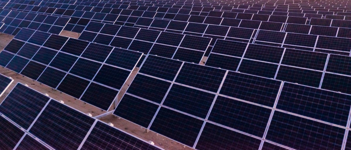 field of solar panels for sustainable energy