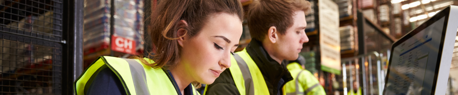 Supplier Invoice Inquiries