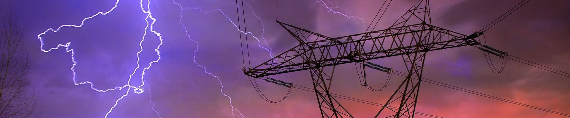 shutterstock_54395794