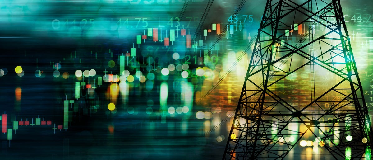 shutterstock_1937520862