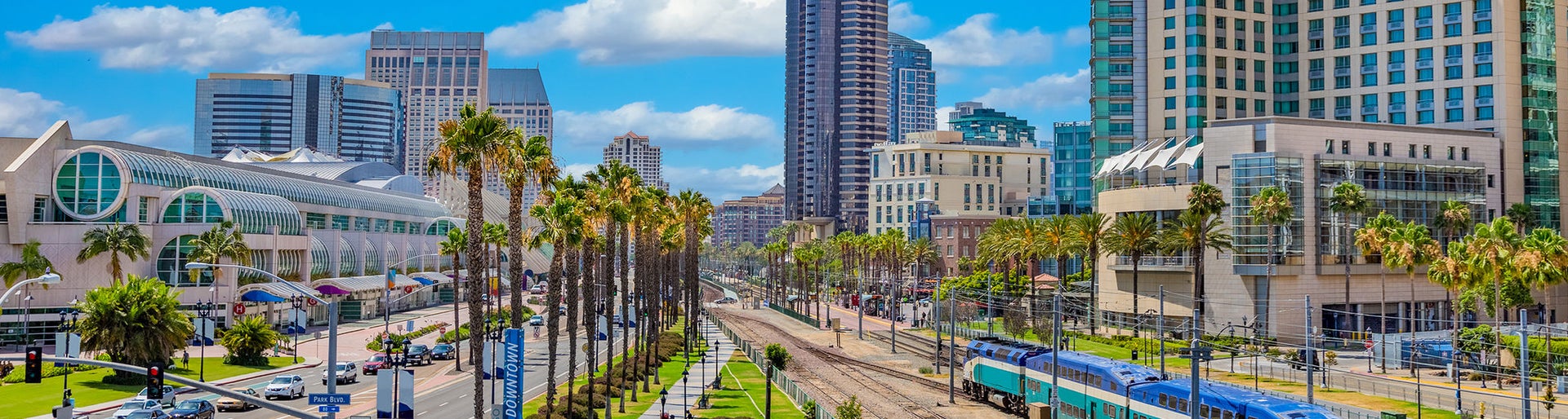Major usa city; safe harbor; elevated view; elevated view; city life; late afternoon light; peaceful mood