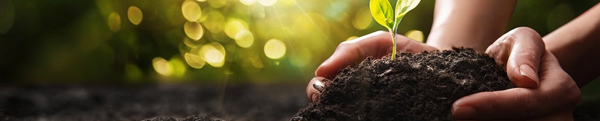 Close Up Plant in Female Hands. Care of the Environment. Ecology concept