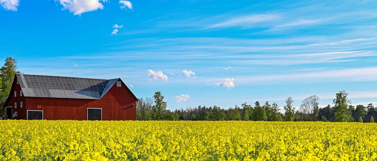 green field with a red house and blue sky for sustainability transition in sweden