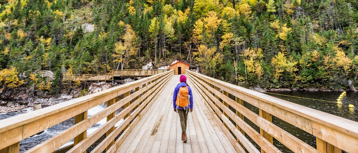 Campaign portal background (stage)