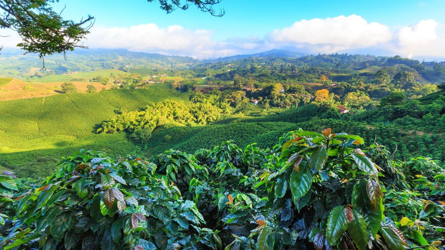 La Agencia de Viajes Chile Nº 823 by Ladevi Medios y Soluciones - Issuu, image size:1440x810