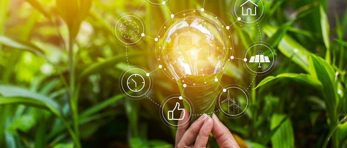 Light bulb and  growing on stacks of coins on nature green background. 