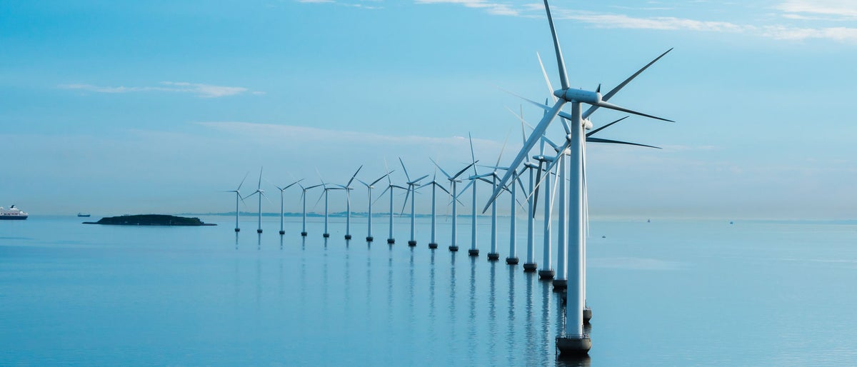 shutterstock_1101570944