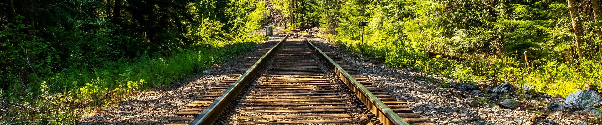 shutterstock_1127786717