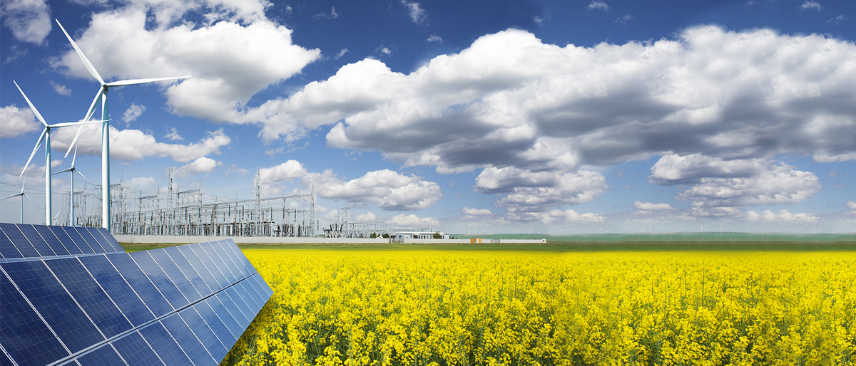 sustainable grid using windmills and solar panels