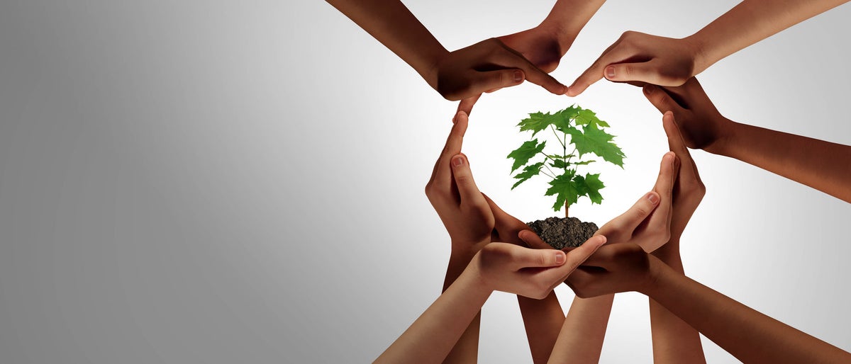 shutterstock_1538844608