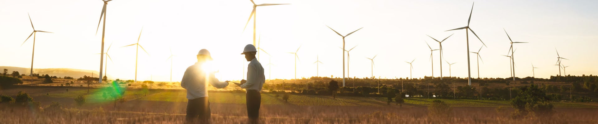 Investors and technician who are out of focus in the foreground are standing in talks about wind turbine power generation, Wind turbine farm is an alternative electricity source for business.