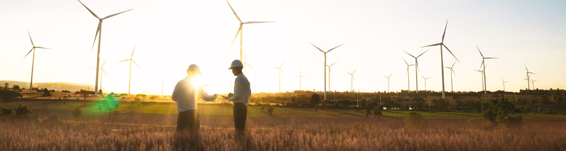 Investors and technician who are out of focus in the foreground are standing in talks about wind turbine power generation, Wind turbine farm is an alternative electricity source for business.