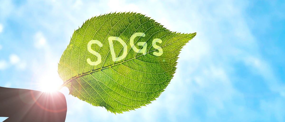 A silhouette of a finger holding a leaf with the letters SDGs towards the light