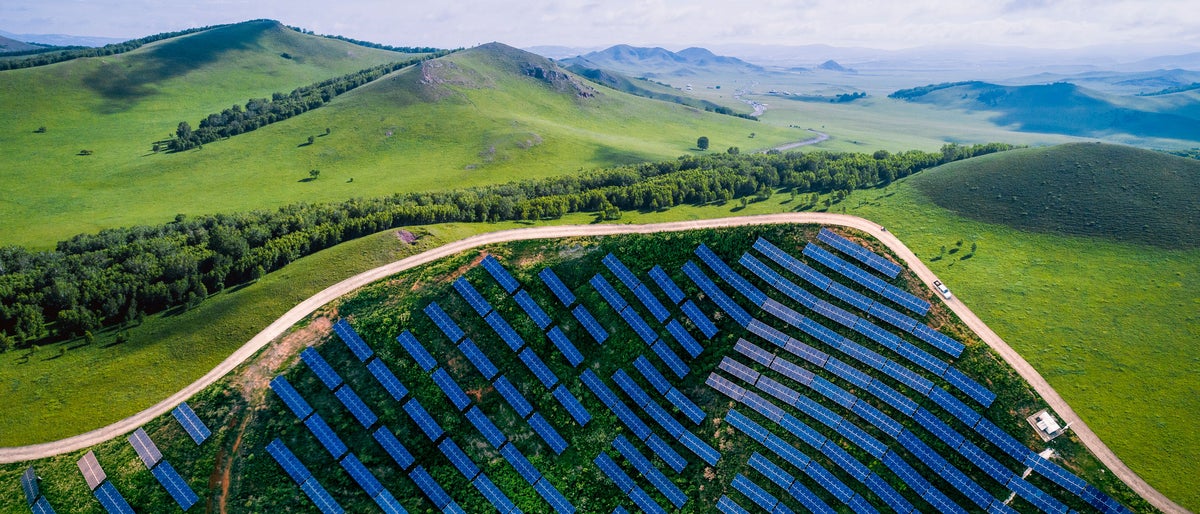 winding road in the forest,aerial view from above
