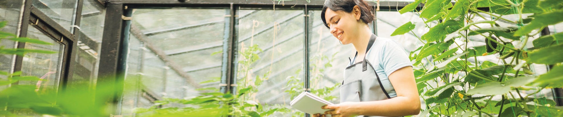 Young woman in an apron in a greenhouse conducts research into the growth of vegetables. Summer assignment for a student