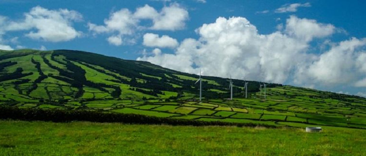 Microgrid control technology with integration of wind energy