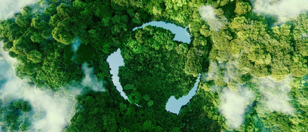 Abstract icon representing the ecological call to recycle and reuse in the form of a pond with a recycling symbol in the middle of a beautiful untouched jungle. 3d rendering.