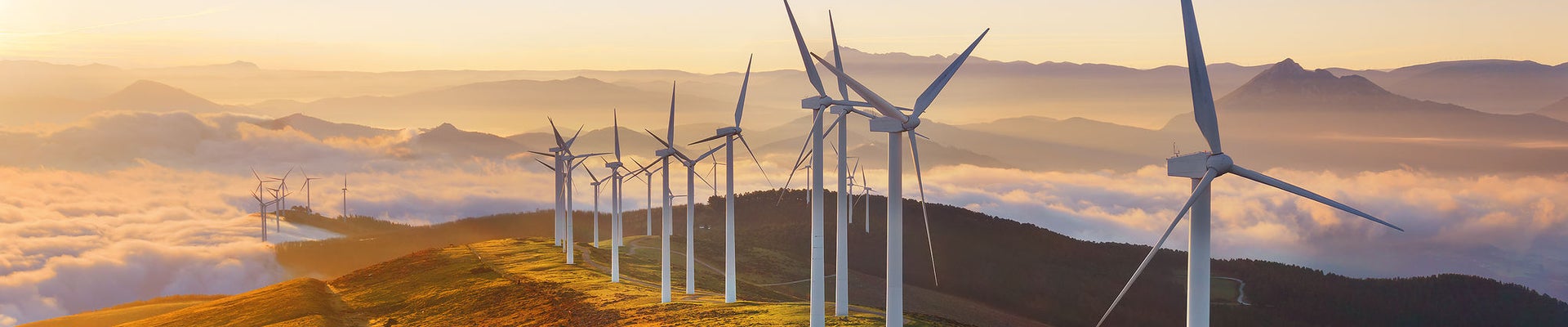 wind turbines in the Oiz eolic park